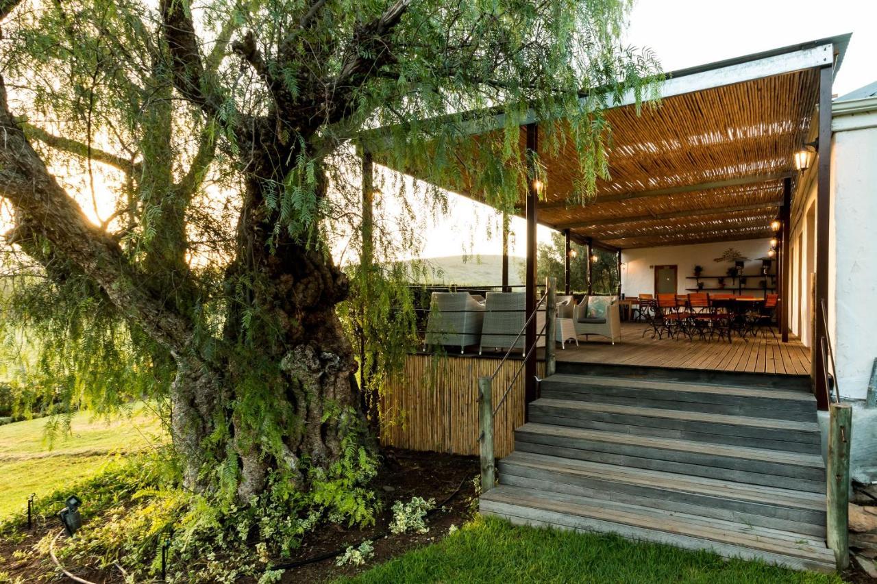 Penzion Swartberg Country Manor Matjiesrivier  Exteriér fotografie