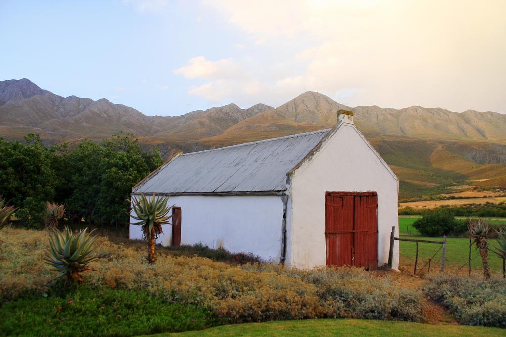 Penzion Swartberg Country Manor Matjiesrivier  Exteriér fotografie