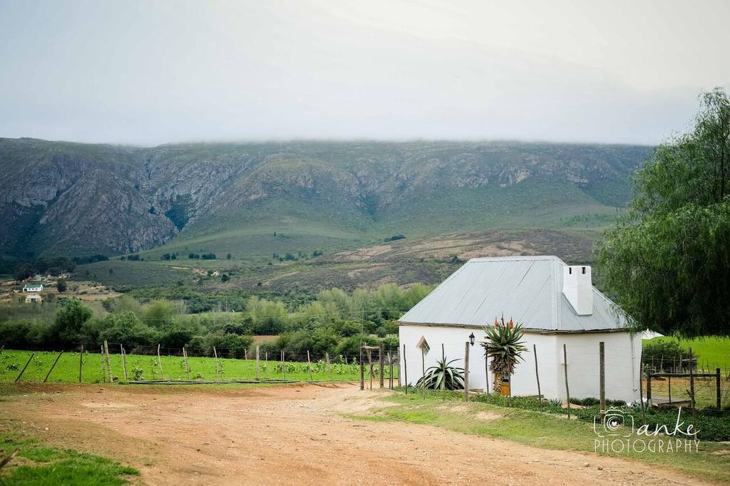 Penzion Swartberg Country Manor Matjiesrivier  Exteriér fotografie