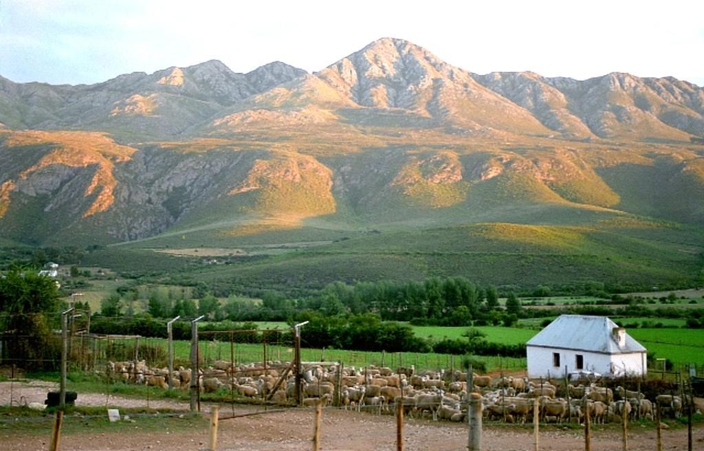 Penzion Swartberg Country Manor Matjiesrivier  Exteriér fotografie