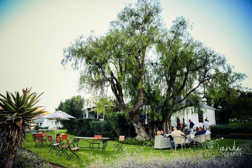 Penzion Swartberg Country Manor Matjiesrivier  Exteriér fotografie